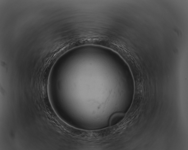 X0000090891109200708031046