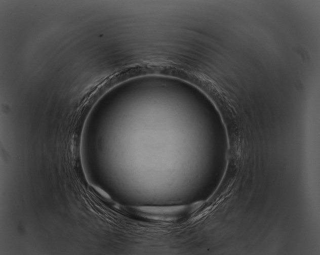 X0000090891110200708031046