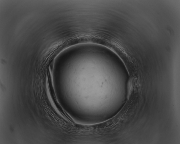 X0000090891111200708031046