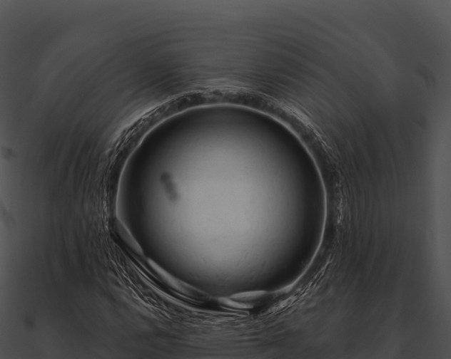 X0000090891112200708031046