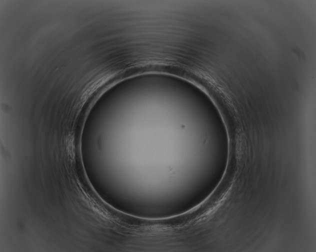 X0000090891113200708031046