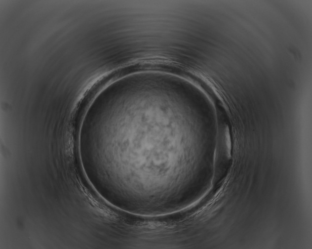 X0000090891115200708031046