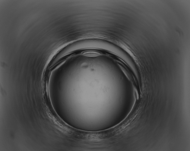 X0000090891116200708031046