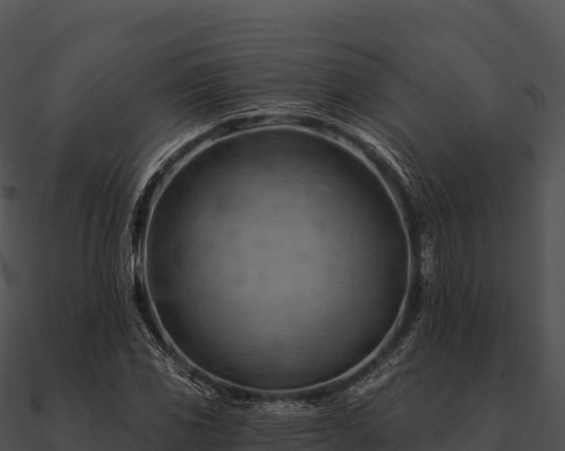 X0000090891117200708031046