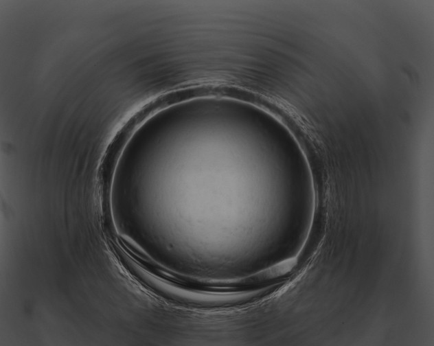 X0000090891118200708031046