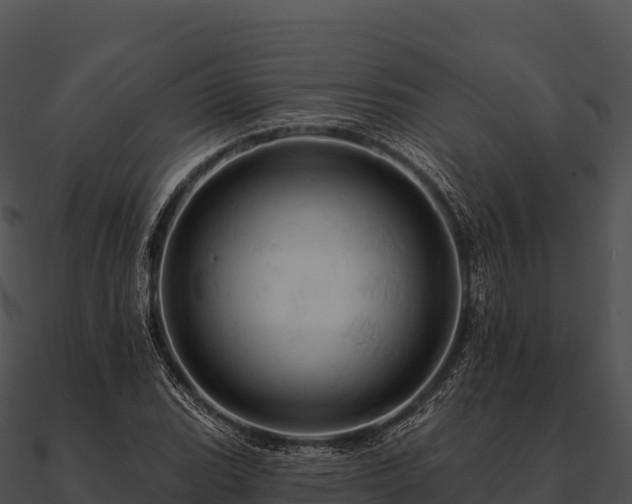 X0000090891119200708031046