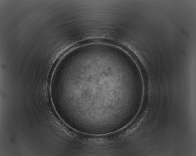 X0000090891121200708031046