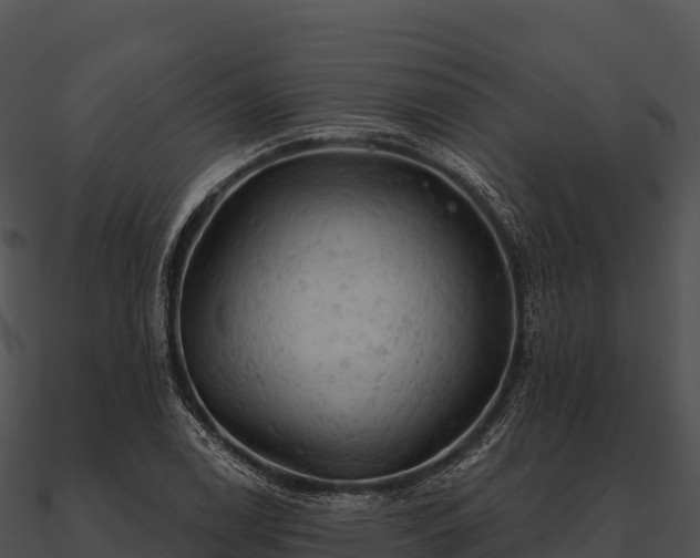 X0000090891122200708031046