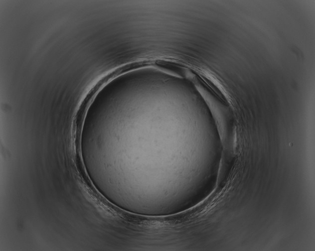 X0000090891124200708031046