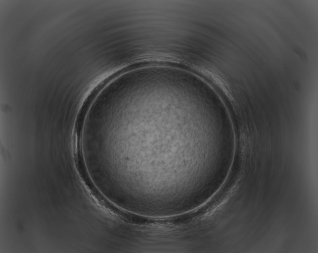 X0000090891125200708031046