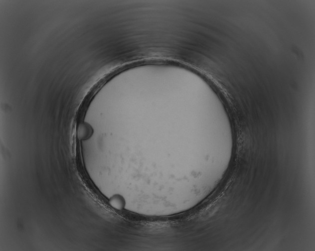 X0000090891126200708031046