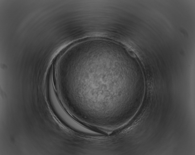 X0000090891127200708031046