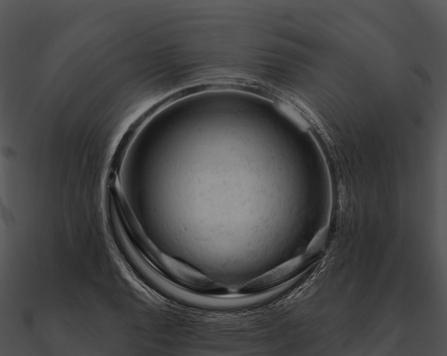 X0000090891128200708031046