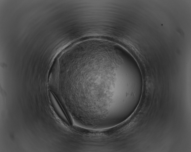 X0000090891129200708031046