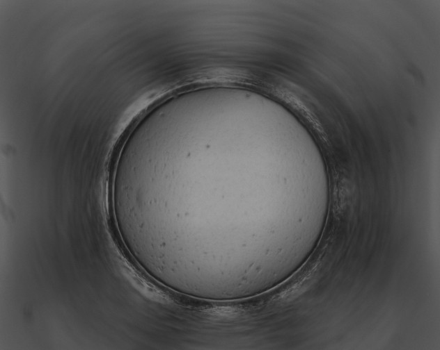 X0000090891130200708031046