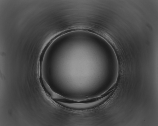 X0000090891132200708031046