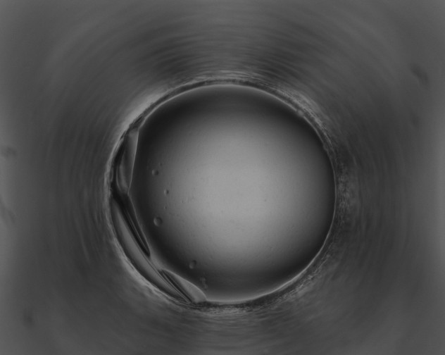 X0000090891135200708031046