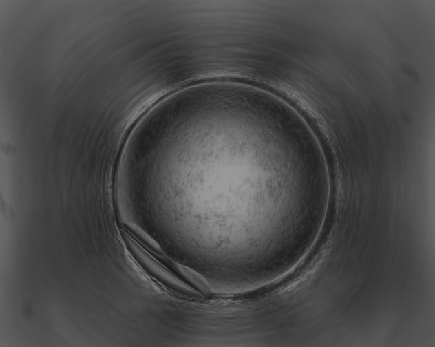 X0000090891137200708031046