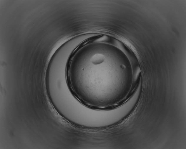 X0000090891138200708031046