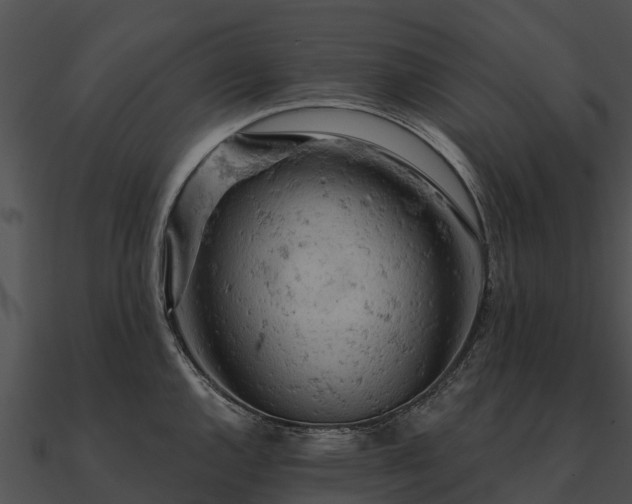 X0000090891144200708031047