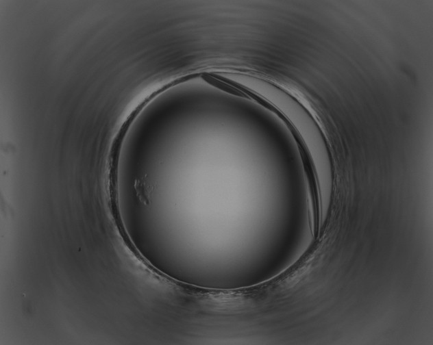 X0000090891147200708031047