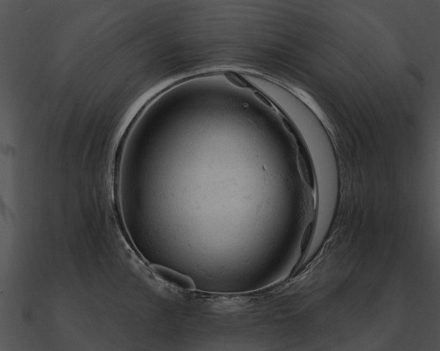 X0000090891148200708031047