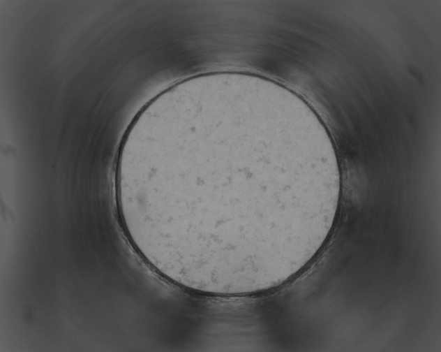 X0000090891150200708031047