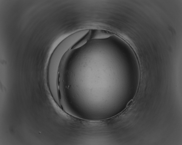 X0000090891152200708031047