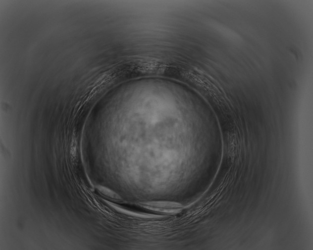 X0000090891154200708031046