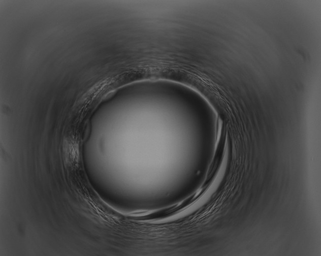 X0000090891155200708031046