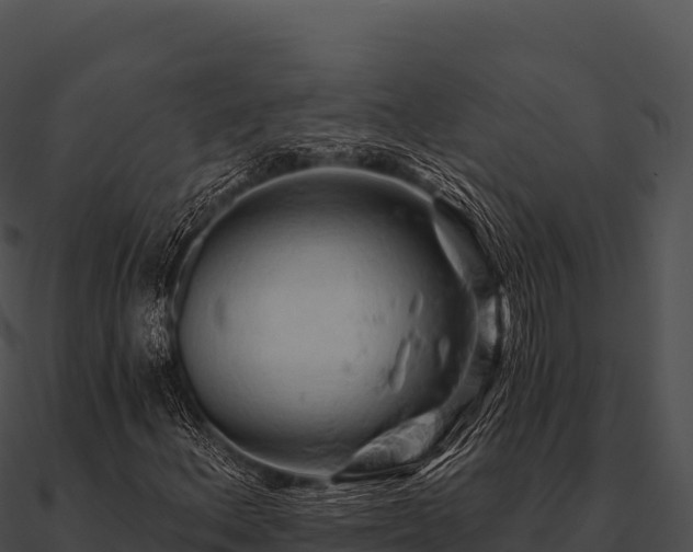 X0000090891156200708031046