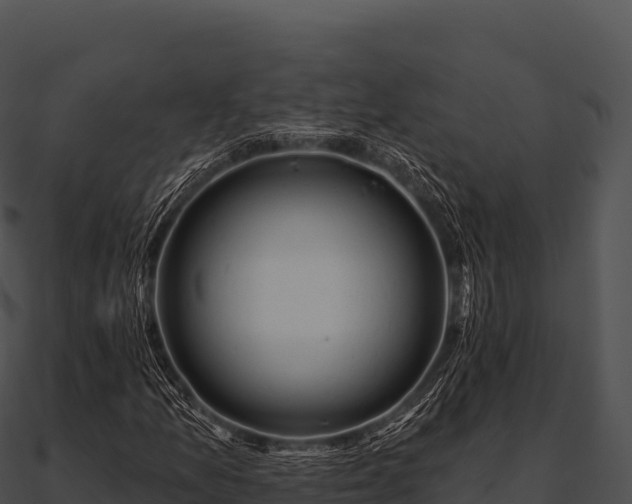 X0000090891157200708031046