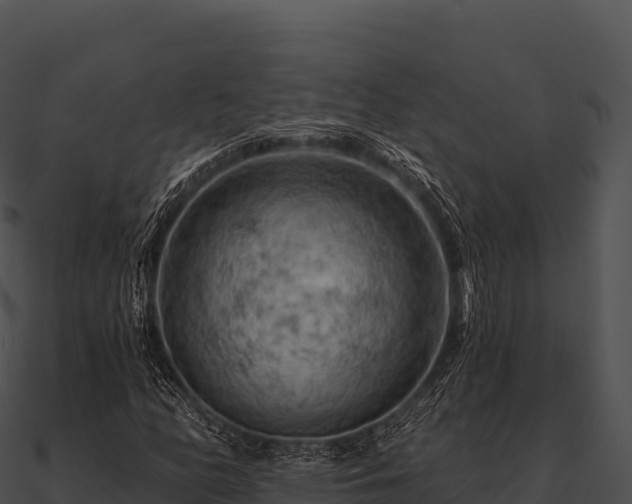 X0000090891158200708031046