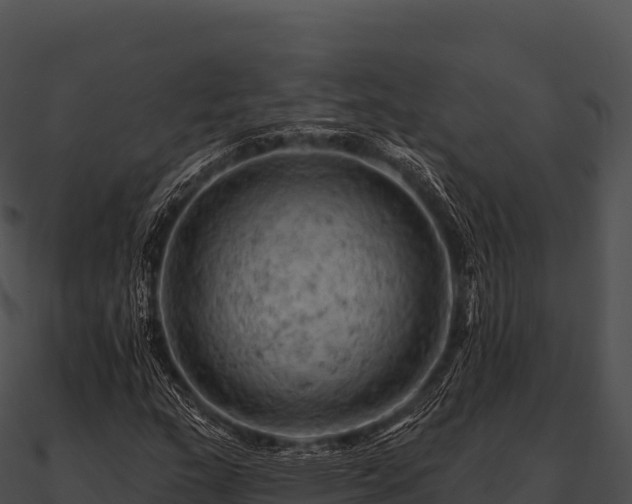 X0000090891159200708031046