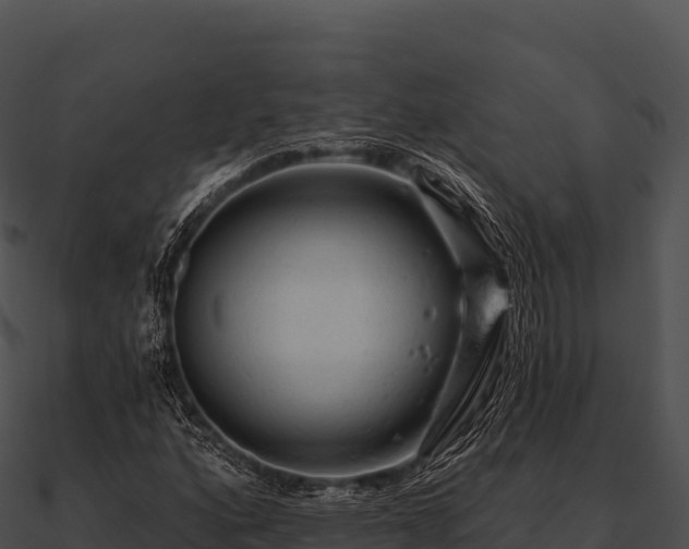 X0000090891160200708031046