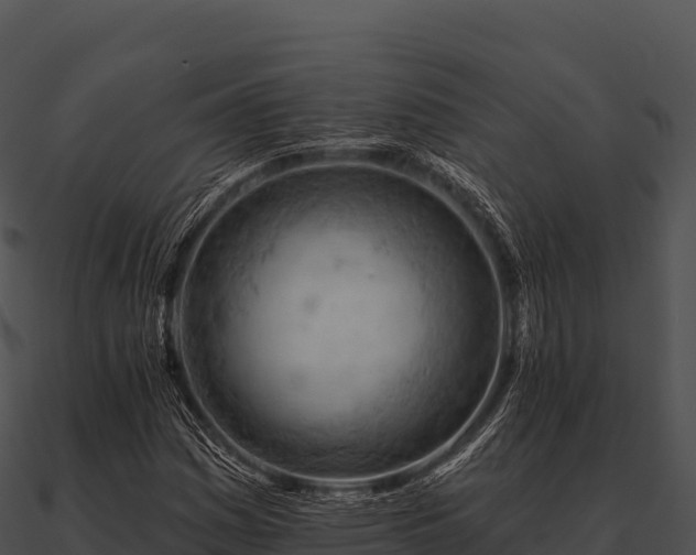 X0000090891161200708031046