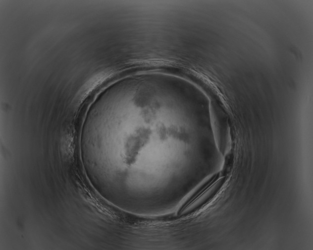 X0000090891163200708031046