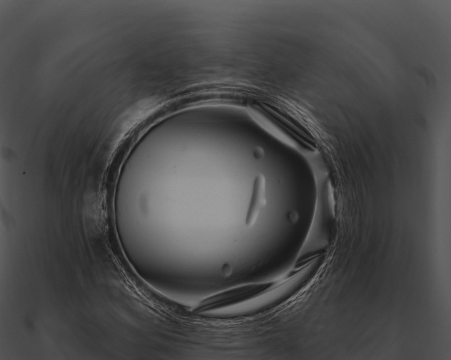 X0000090891164200708031046