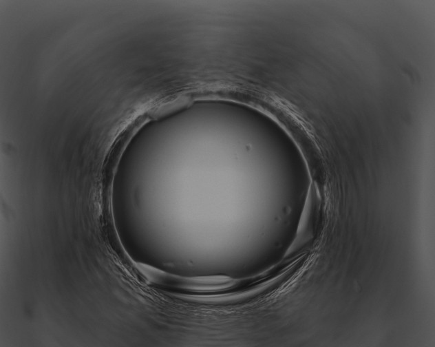 X0000090891165200708031046