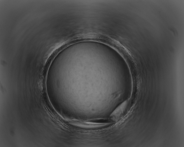 X0000090891166200708031046