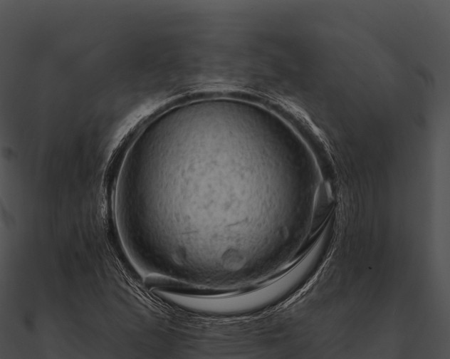 X0000090891167200708031046