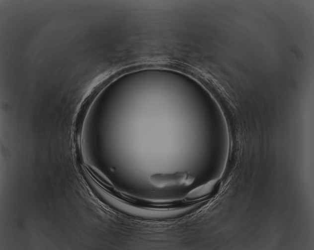 X0000090891168200708031046