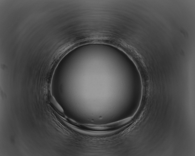 X0000090891169200708031046