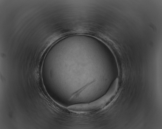 X0000090891170200708031046