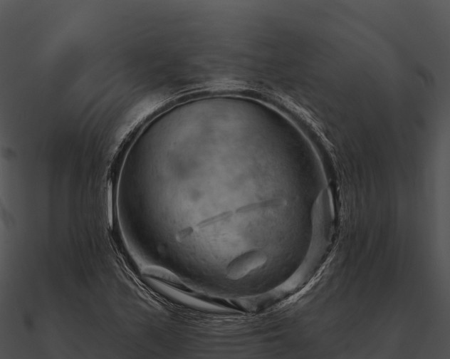 X0000090891171200708031046