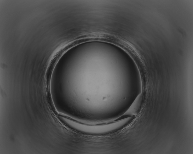 X0000090891172200708031046