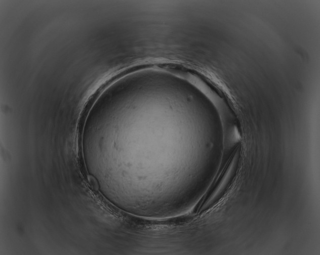 X0000090891173200708031046