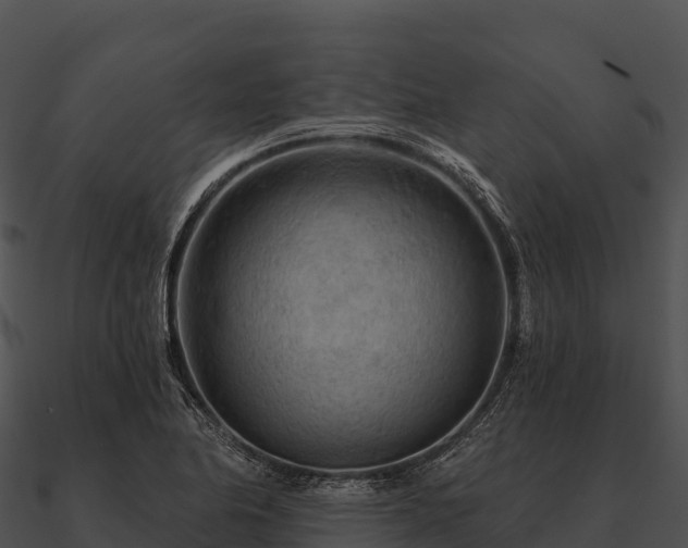 X0000090891174200708031046