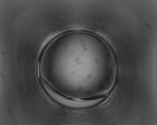 X0000090891175200708031046