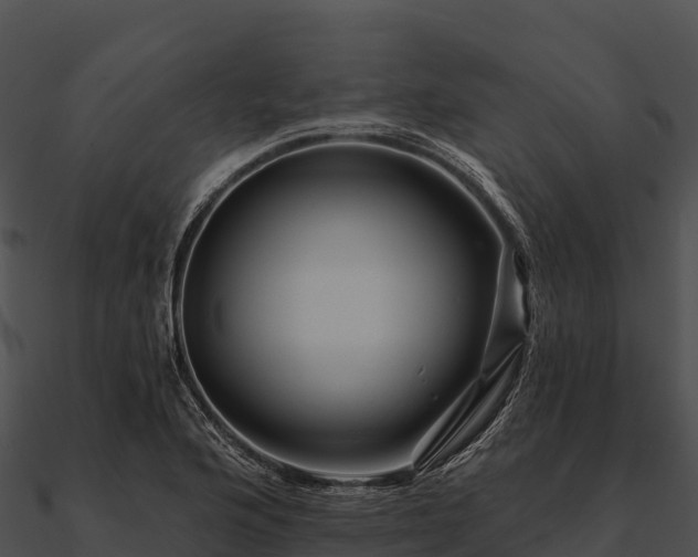 X0000090891176200708031046